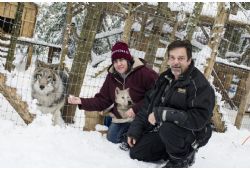 Pour les animaux de la faune sauvage