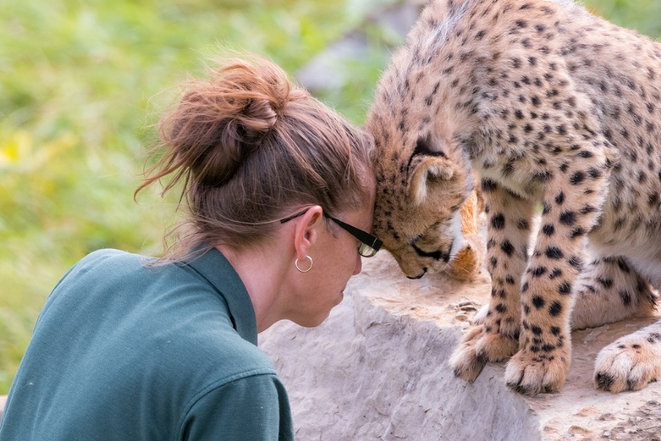 La passion pour les animaux | Laval Families Magazine | Laval's Family Life Magazine