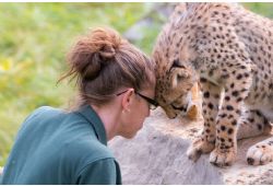 La passion pour les animaux