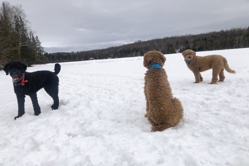 Profiter de lhiver | Laval en Famille Magazine | Magazine locale Familiale 