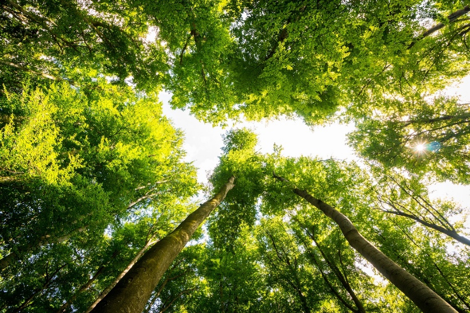 Les retraites de silence : décrocher autrement | Laval en Famille Magazine | Magazine locale Familiale Les retraites de silence : décrocher autrement | Laval en Famille Magazine | Magazine locale Familiale