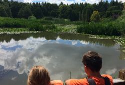  la dcouverte des Cercles des Jeunes Naturalistes