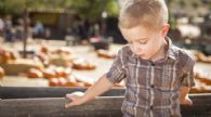Serendipity: How I Embrace Parenting the ASD Child