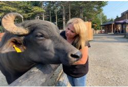 Stphanie Ouellette : elle parle aux animaux