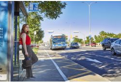 Dans le bus ce printemps : vlo, ados et sorties en famille