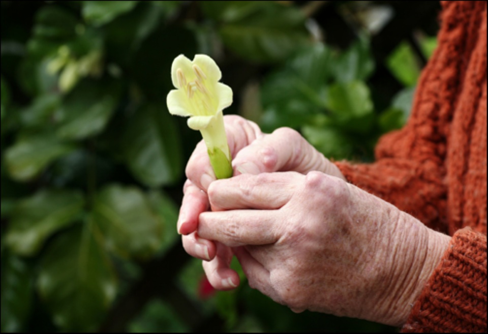 Living with Arthritis | Laval Families Magazine | Laval's Family Life Magazine Living with Arthritis | Laval Families Magazine | Laval's Family Life Magazine