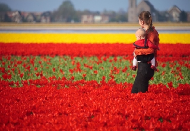WELCOME TO HOLLAND | Laval Families Magazine | Laval's Family Life Magazine WELCOME TO HOLLAND | Laval Families Magazine | Laval's Family Life Magazine