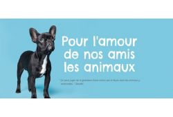 Une premire anne pour le Salon des Amimaux de Laval
