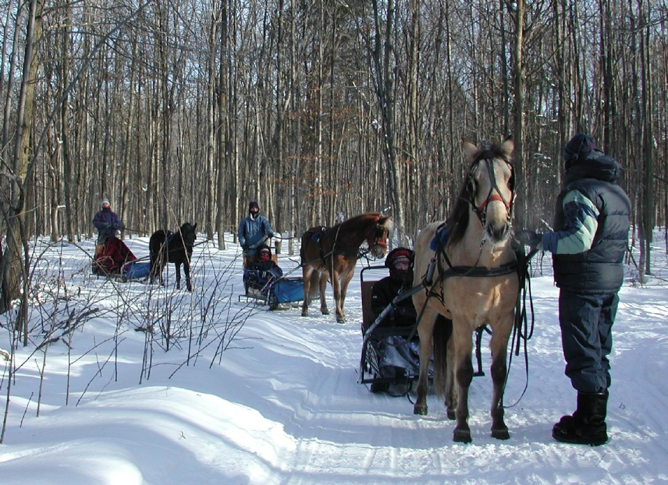 LAuteuilloise Farm in Winter  | Laval Families Magazine | Laval's Family Life Magazine