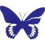 Camp Papillon | Laval en Famille Magazine | Magazine locale Familiale Camp Papillon | Laval en Famille Magazine | Magazine locale Familiale